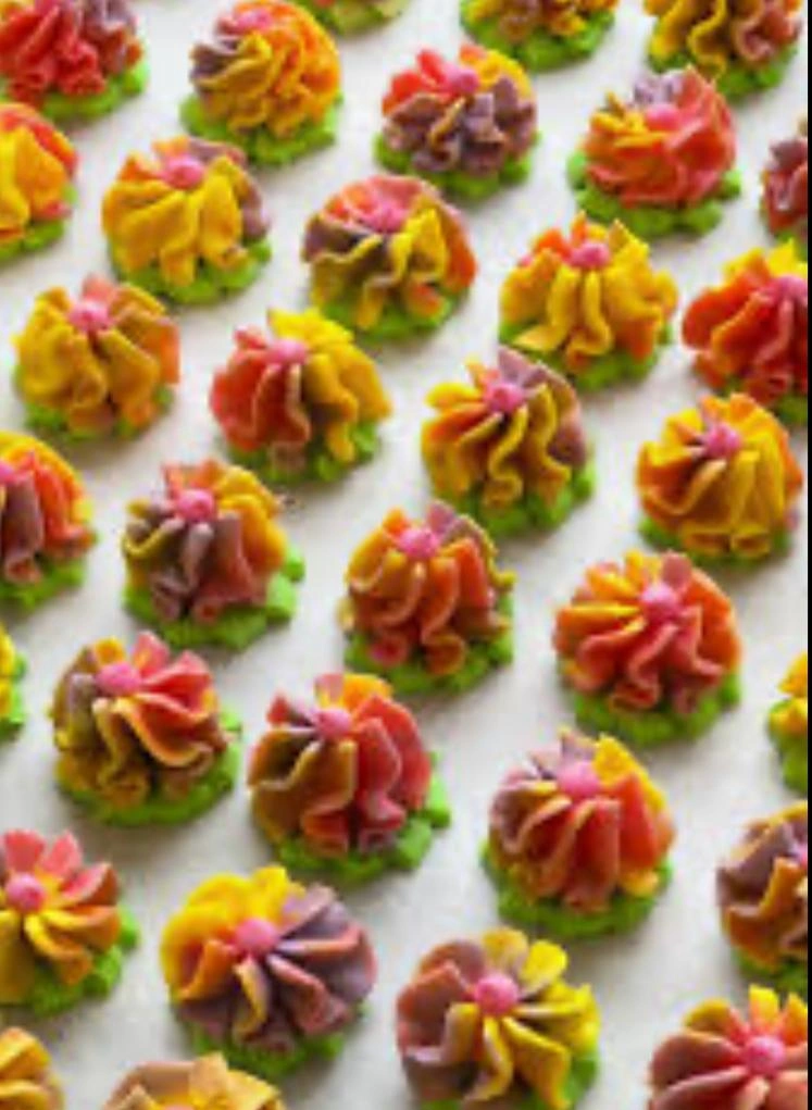Dahlia Rainbow