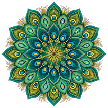 Peacock Illustration